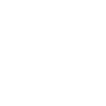 Systems Scaffold