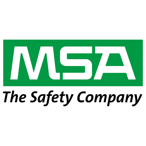 msa logo